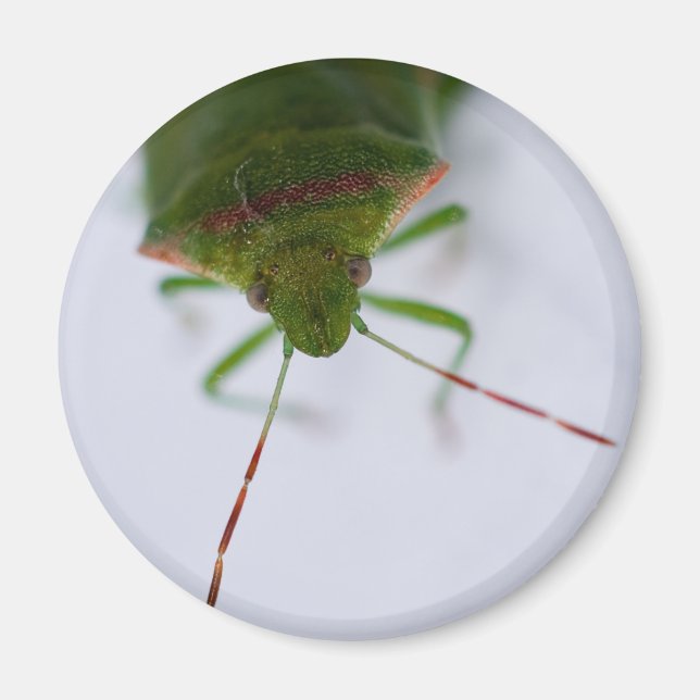 Íman Magneta de Olho (Frente)