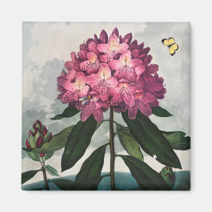 Íman Magneta de Padrão Floral