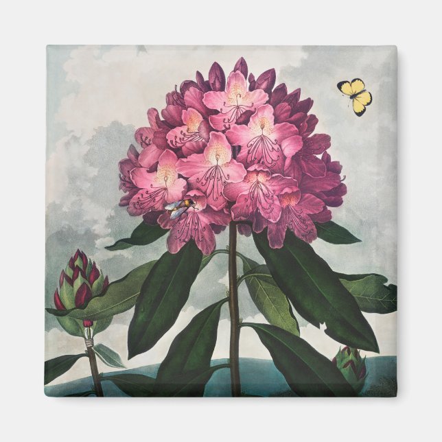 Íman Magneta de Padrão Floral (Frente)