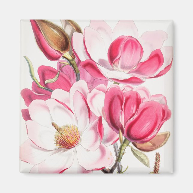 Íman Magneta de Padrão Floral (Frente)