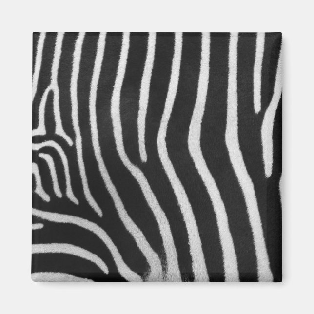 Íman Magneta de Padrões de Faixa Zebra (Frente)