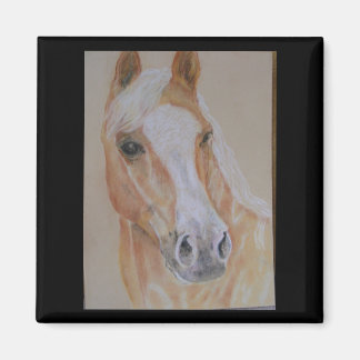 Íman magneta de palomino