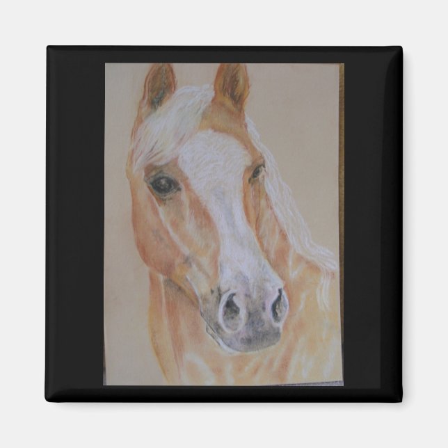 Íman magneta de palomino (Frente)