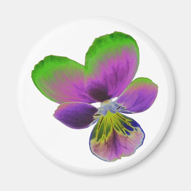 Íman Magneta de pansos roxos e verdes (Frente)
