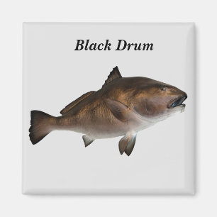 Íman Magneta de peixe de tambor preto