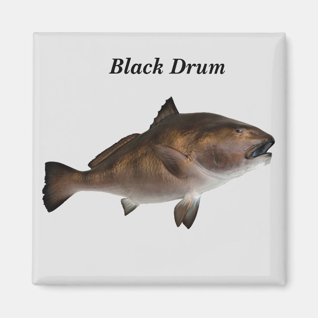 Íman Magneta de peixe de tambor preto (Frente)