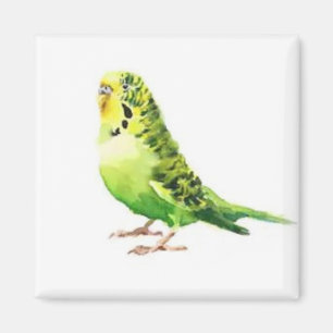 Íman Magneta de periquito verde