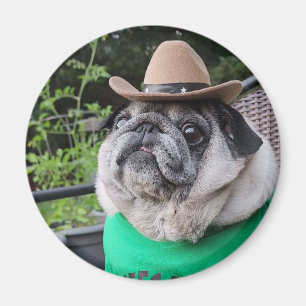 Íman Magneta de picles de fazendeiro