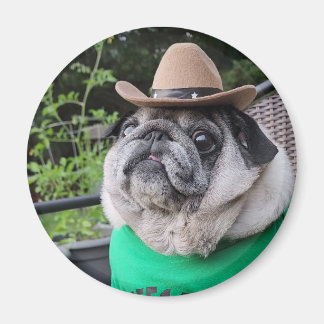 Íman Magneta de picles de fazendeiro