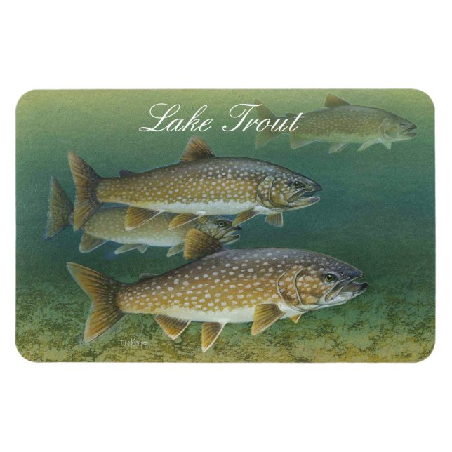 Íman Magneta de pintura do Lago Trout (Horizontal)