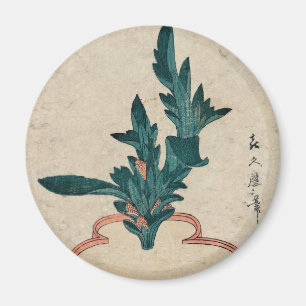 Íman Magneta de planta