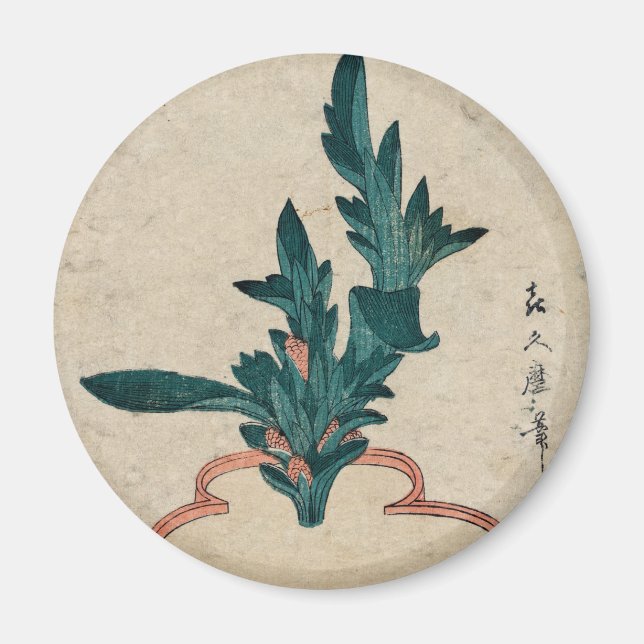 Íman Magneta de planta (Frente)