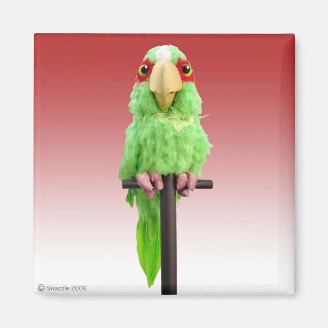 Íman Magneta de polímero (Frente)