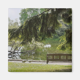 Íman Magneta De Pond De Pato Ornamental