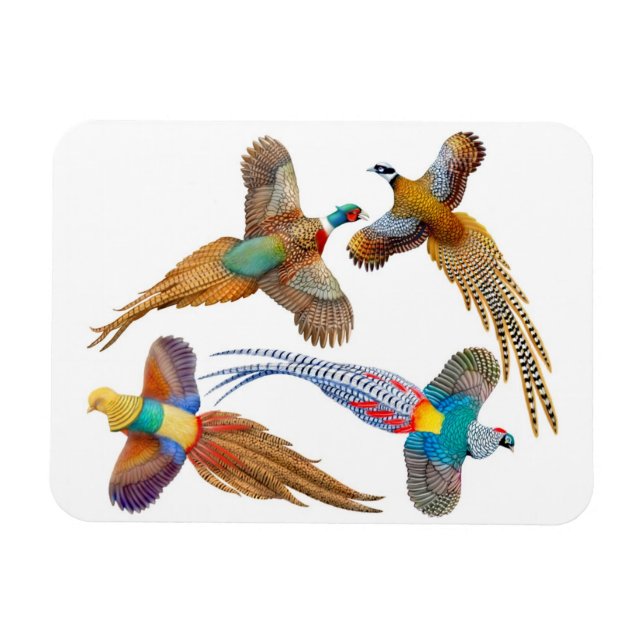 Íman Magneta de prêmio para aves selvagens ornamentais (Horizontal)