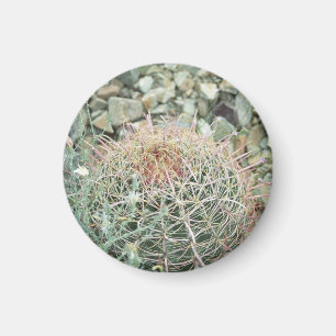 Íman Magneta de presente do gelador de cactus de poesia