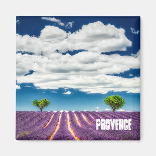 Íman Magneta de produção, lavanda de Valensole