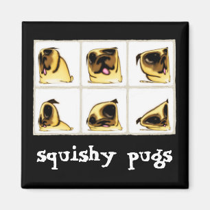 Íman Magneta de Pugs Squishy