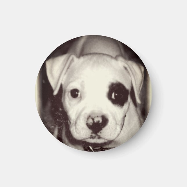 Íman Magneta de puppy cúbica (Frente)