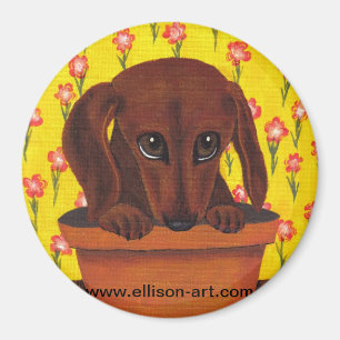 Íman Magneta De Puppy Dachshund Muito Bonita