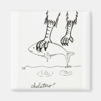 Íman Magneta de quelantes