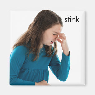 Íman Magneta de Refrigerador