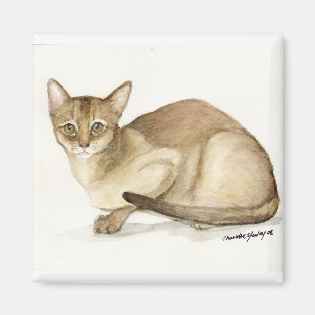 Íman Magneta de reprodução de arte "Abyssinian Cat" (Frente)