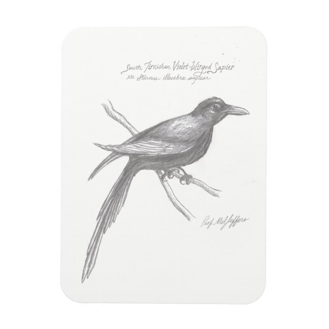 Íman Magneta de Sapier Violeta de Ala Violeta do Sul de (Vertical)