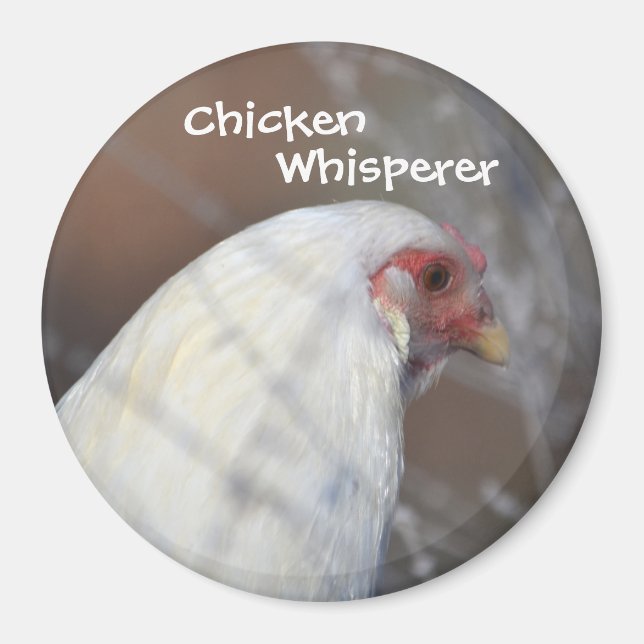Íman Magneta de Sussurro de Frango (Frente)