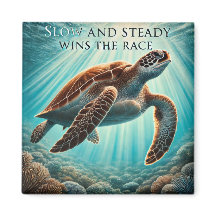 Magneta de Tartaruga lenta e firme