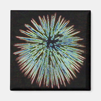 Íman Magneta de Teal Fireworks