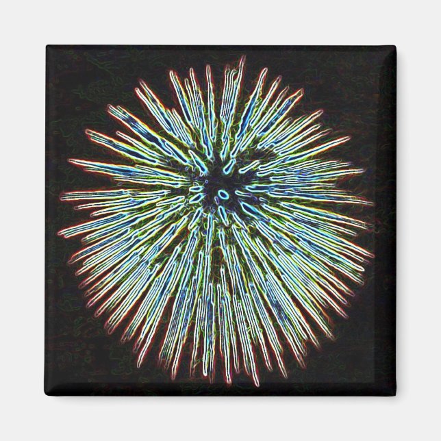 Íman Magneta de Teal Fireworks (Frente)