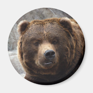 Íman Magneta de Urso Grizzly