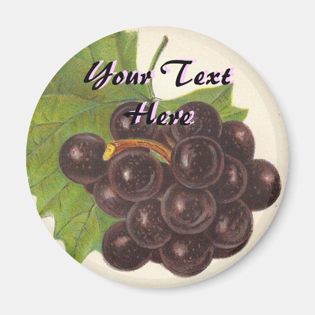 Íman Magneta de Uvas Vintage (Frente)