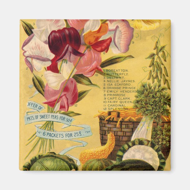 Íman Magneta de variedade de sementes (Frente)