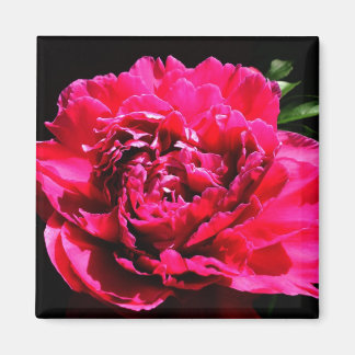 Íman Magneta decorativa - Flor