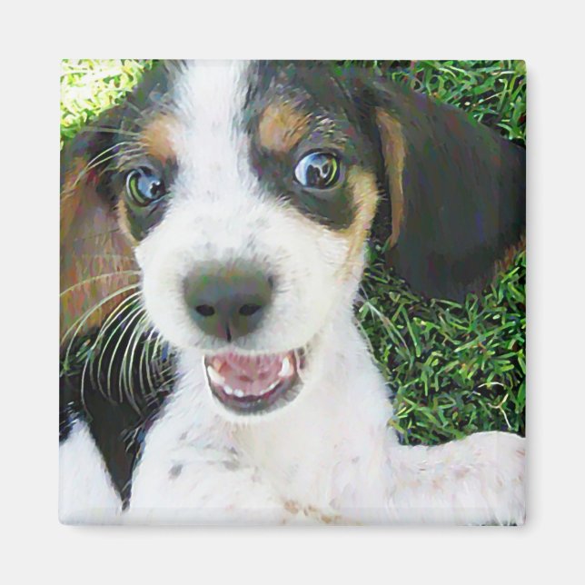 Íman Magneta do Beagle (Frente)