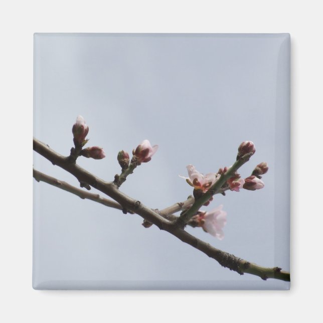Íman Magneta do Branch do Flor (Frente)
