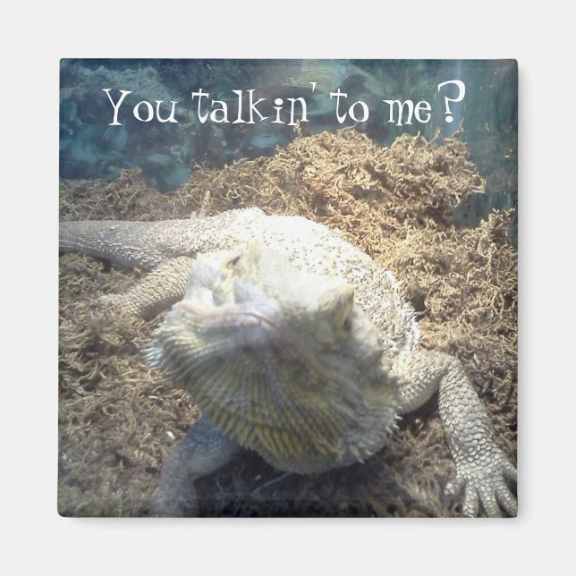 Íman Magneta do dragão barrado (Frente)