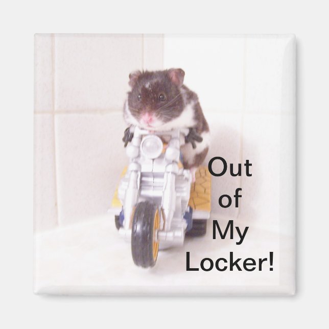 Íman Magneta do localizador de hamster (Frente)