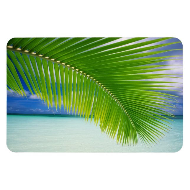 Íman Magneta do oceano tropical (Horizontal)