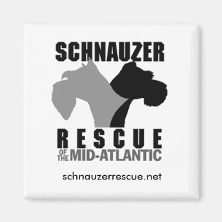 Íman Magneta do refrigerador