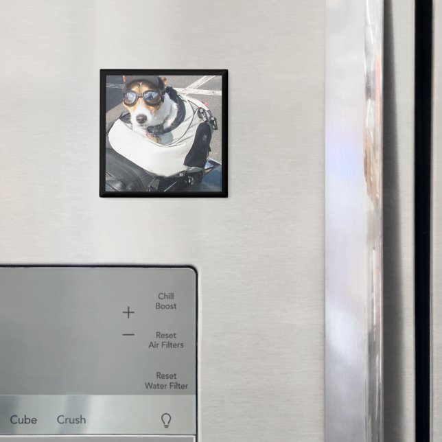 Íman Magneta do refrigerador de suínos (In Situ (Fridge))