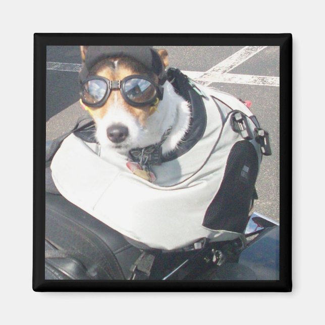 Íman Magneta do refrigerador de suínos (Frente)