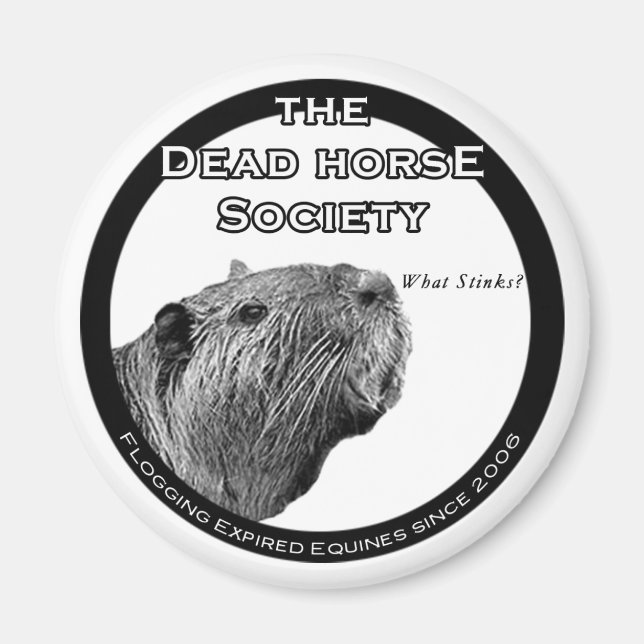 Íman Magneta do refrigerador DHS (Frente)