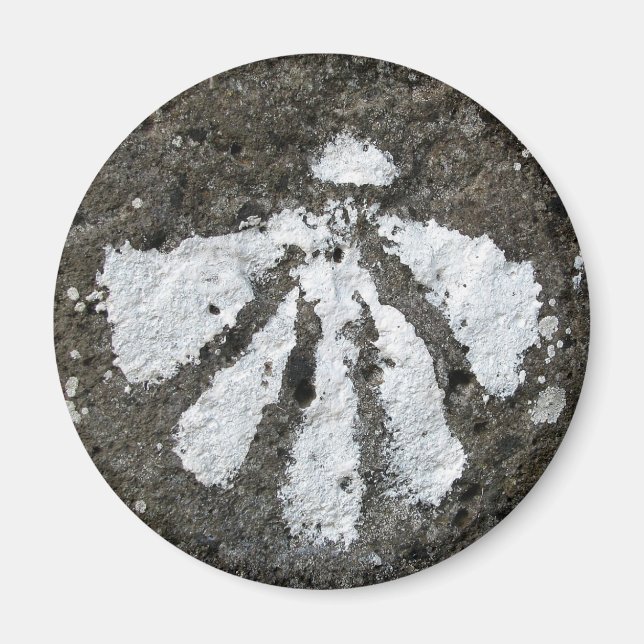 Íman Magneta do Shell do Scallop (Frente)