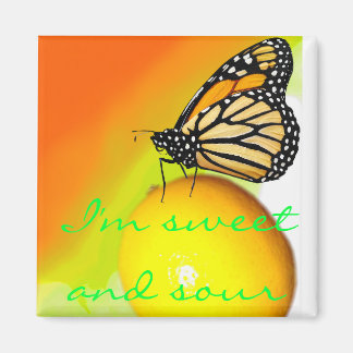 Íman Magneta doce e ácida