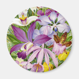 Íman Magneta Elegante/Orquídea Antiquada