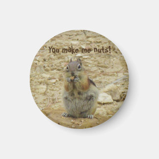 Íman Magneta Engraçado Chipmunk