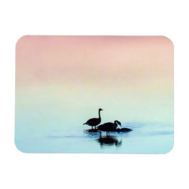 Íman Magneta estática